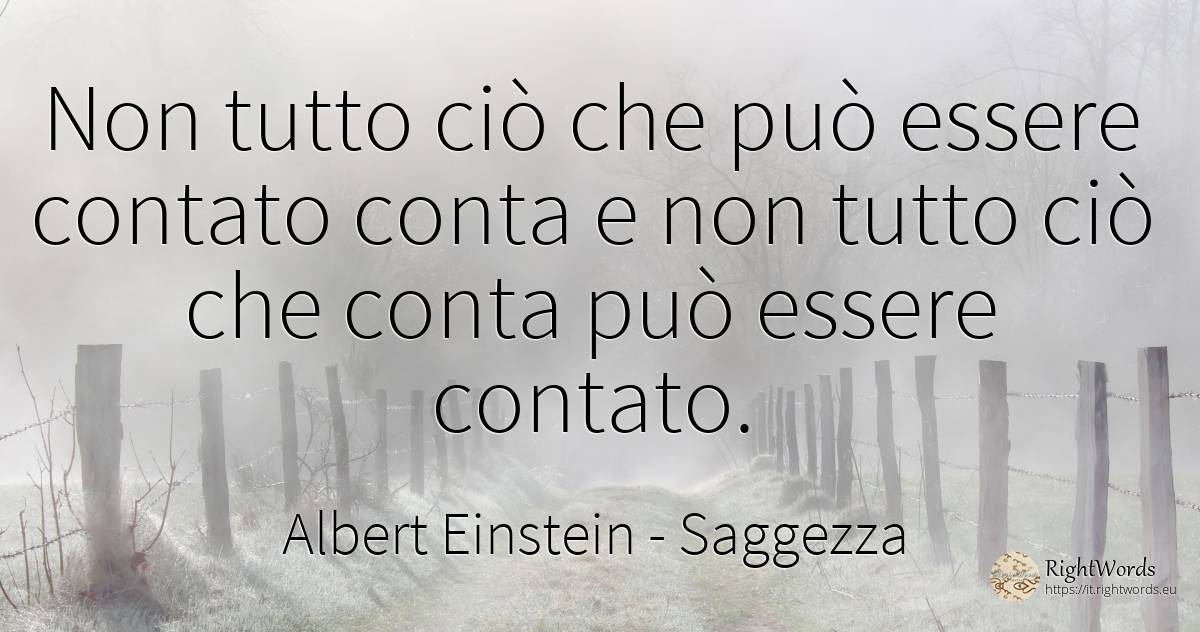 Non tutto ciò che può essere contato conta e non tutto... - Albert Einstein, citazione su saggezza