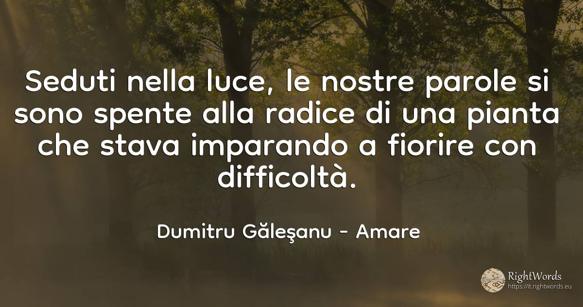 Seduti nella luce, le nostre parole si sono spente alla... - Dumitru Găleşanu, citazione su amare