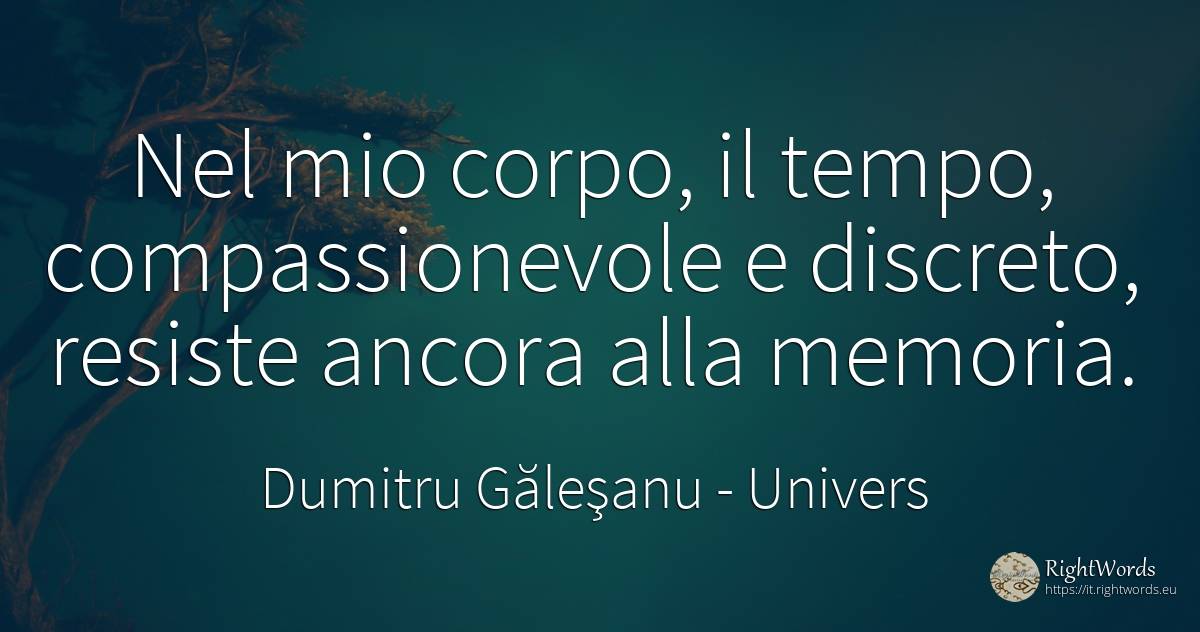 Nel mio corpo, il tempo, compassionevole e discreto, ... - Dumitru Găleşanu, citazione su univers