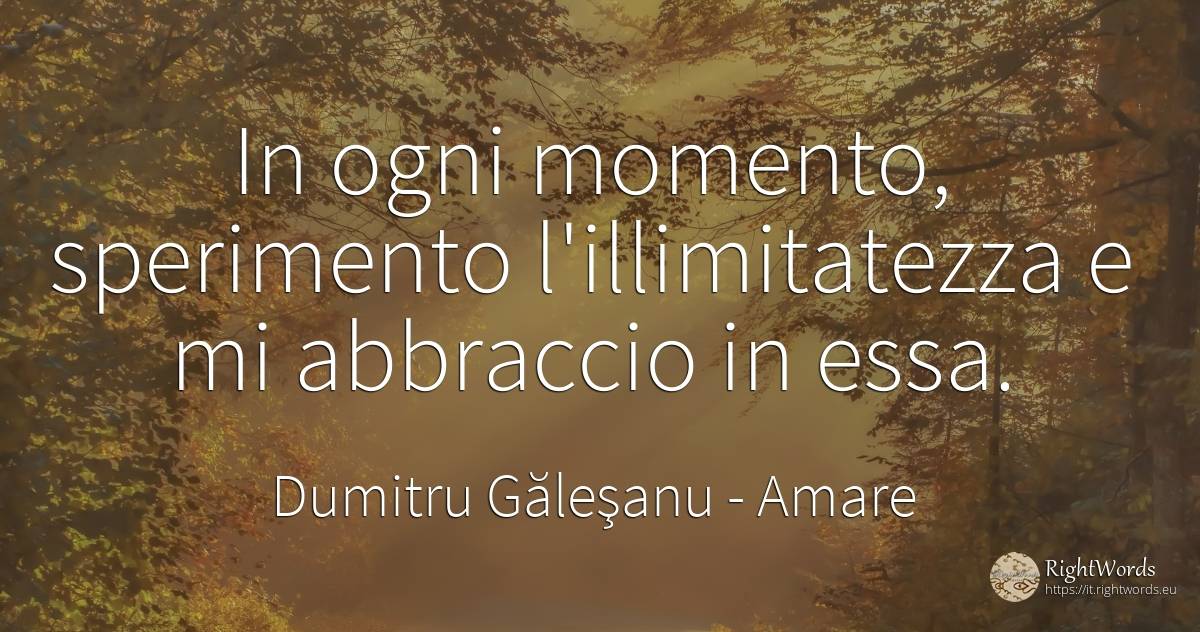 In ogni momento, sperimento l'illimitatezza e mi... - Dumitru Găleşanu, citazione su amare