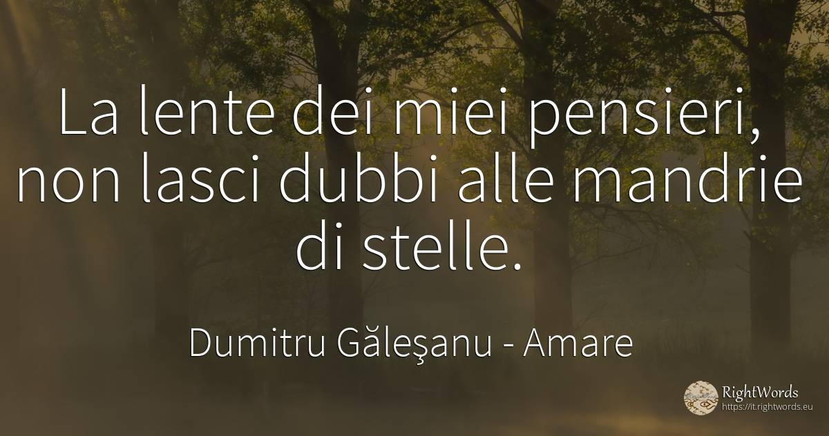 La lente dei miei pensieri non lascia dubbi agli stormi... - Dumitru Găleşanu, citazione su amare