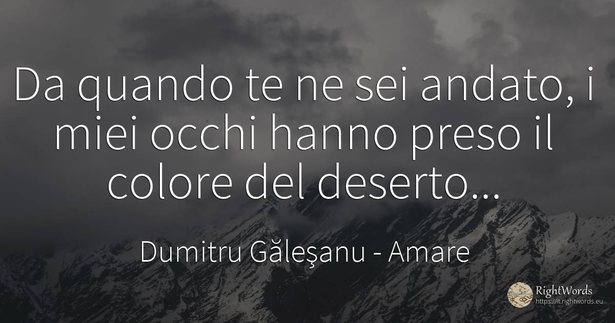 Da quando te ne sei andato, i miei occhi hanno preso il... - Dumitru Găleşanu, citazione su amare