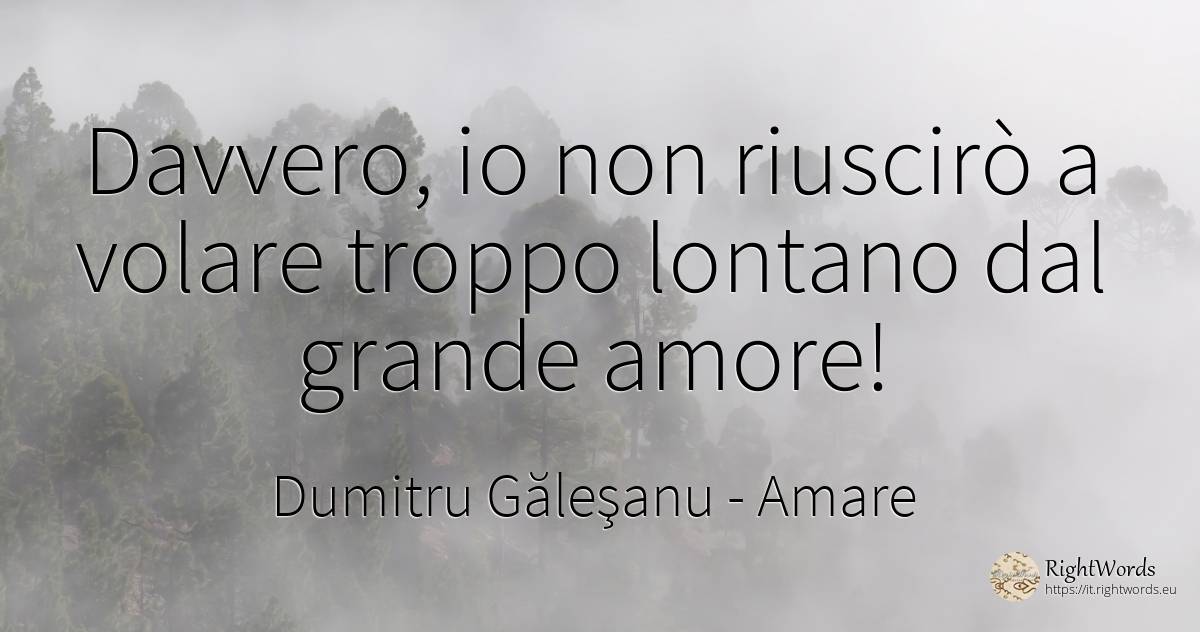 In verità - io non potrò volare troppo lontano dal grande... - Dumitru Găleşanu, citazione su amare