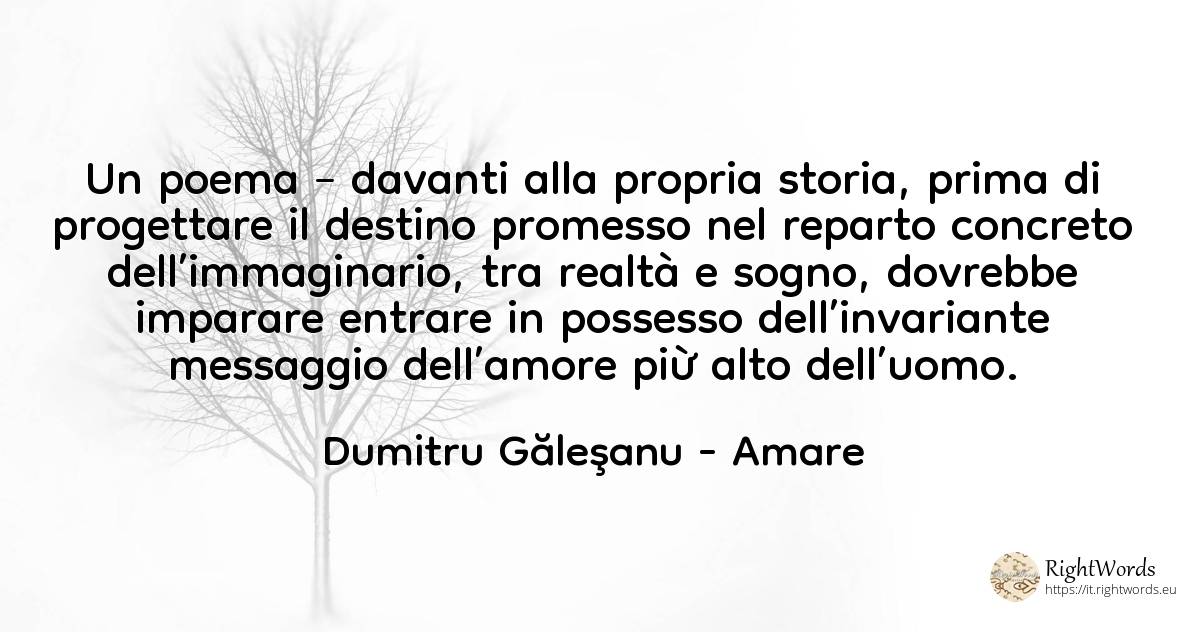 Un poema – davanti alla propria storia, prima di... - Dumitru Găleşanu, citazione su amare