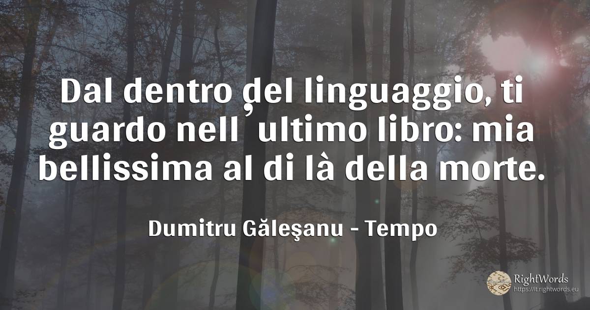 Dal dentro del linguaggio, ti guardo nell’ultimo libro:... - Dumitru Găleşanu, citazione su tempo