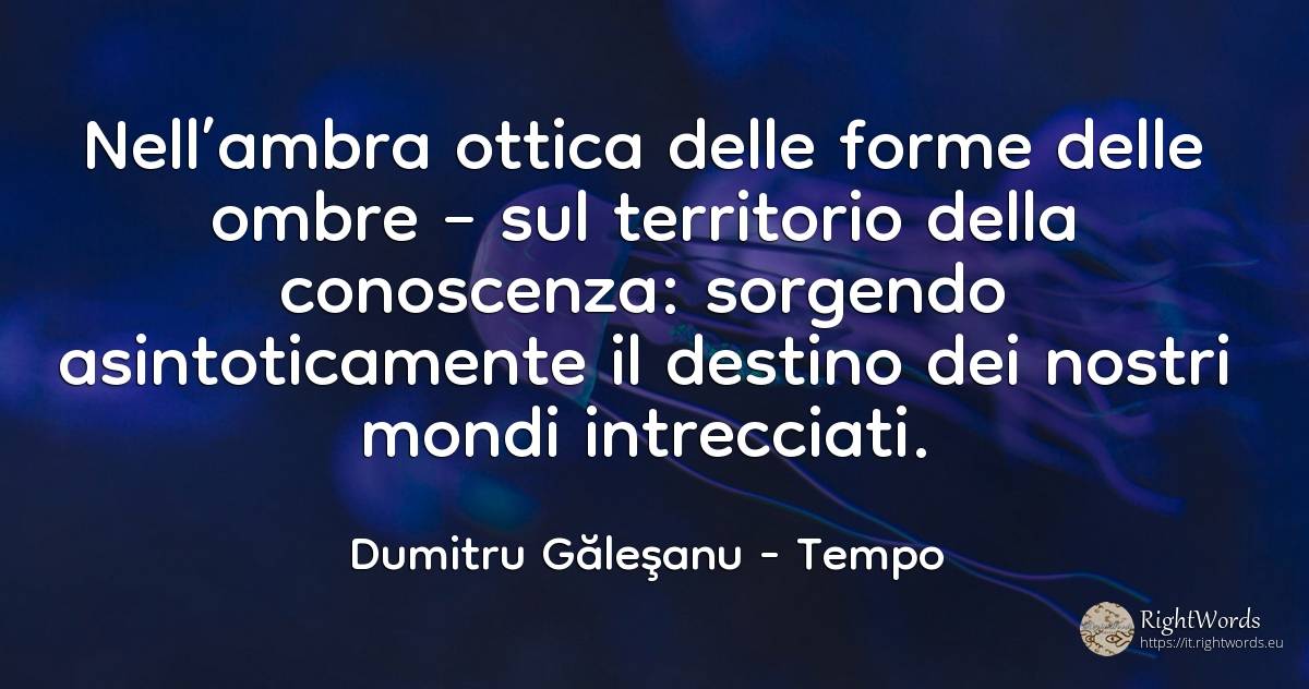 Nell’ambra ottica delle forme delle ombre – sul... - Dumitru Găleşanu, citazione su tempo