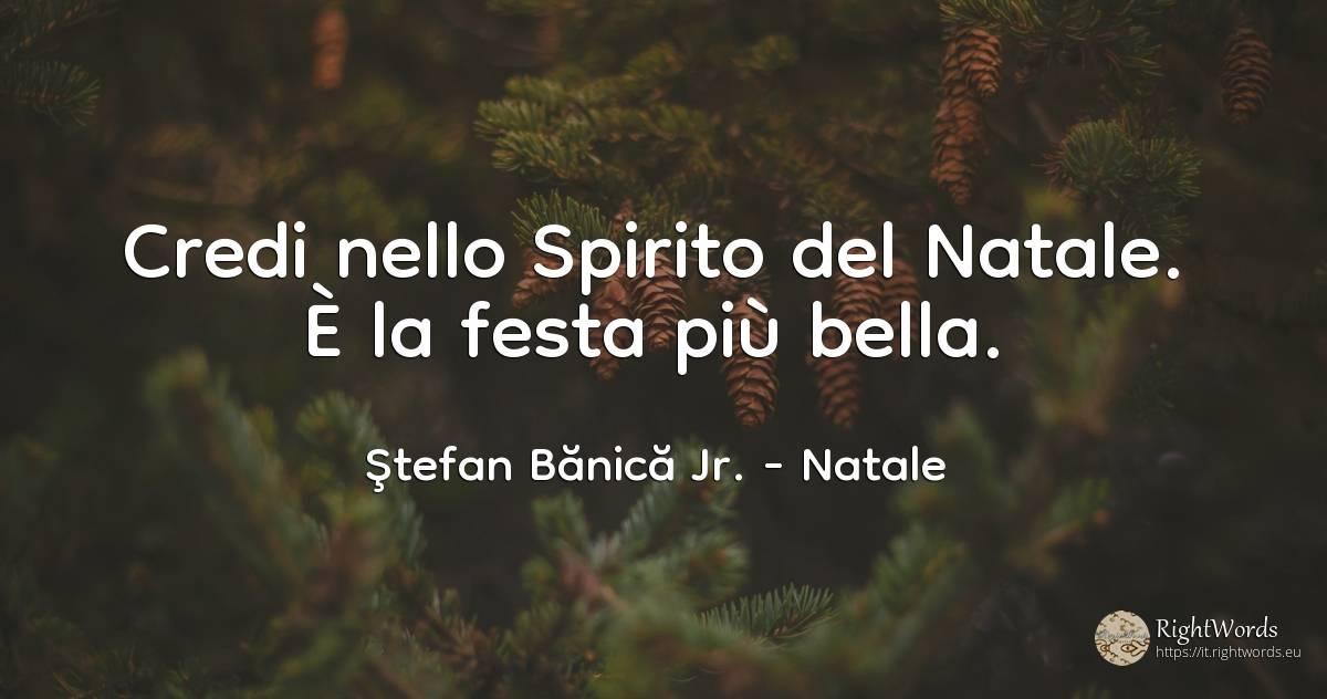 Credi nello Spirito del Natale. È la festa più bella. - Ştefan Bănică Jr., citazione su natale