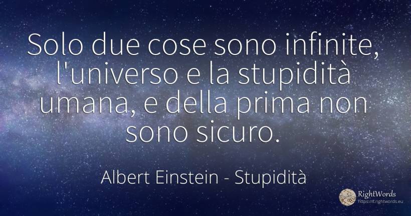Solo due cose sono infinite, l'universo e la stupidità...