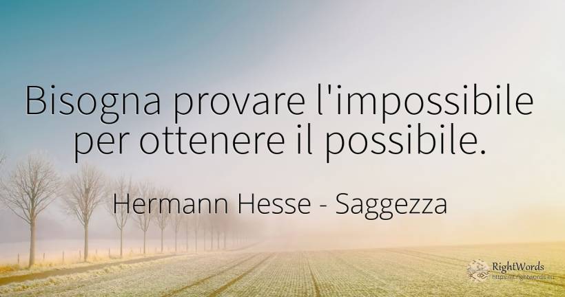 Bisogna provare l'impossibile per ottenere il possibile. - Hermann Hesse (Emil Sinclair), citazione su saggezza, impossibile