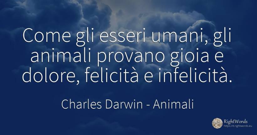 Come gli esseri umani, gli animali provano gioia e... - Charles Darwin, citazione su animali, infelicità, gioia, dolore, tristezza, felicità