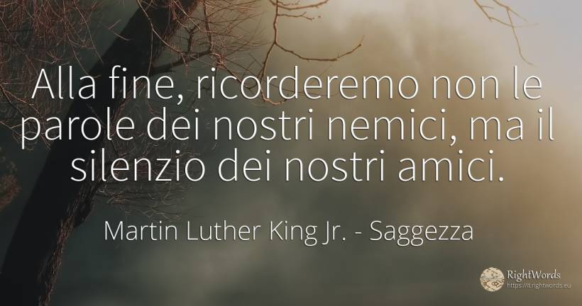 Alla fine, ricorderemo non le parole dei nostri nemici, ... - Martin Luther King Jr. (MLK), citazione su saggezza, nemici, silenzio, fine