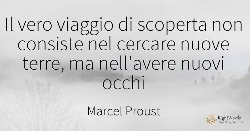 Il vero viaggio di scoperta non consiste nel cercare... - Marcel Proust