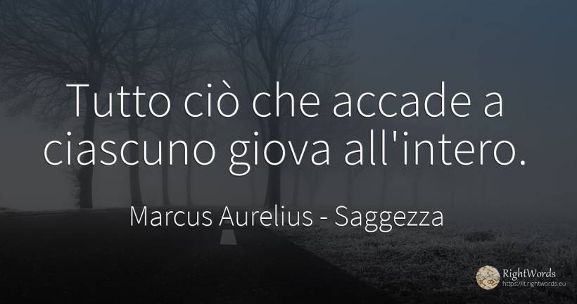 Tutto ciò che accade a ciascuno giova all'intero. - Marcus Aurelius (Marcus Catilius Severus), citazione su saggezza