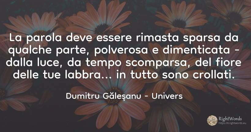 La parola deve essere rimasta sparsa da qualche parte, ... - Dumitru Găleşanu, citazione su univers