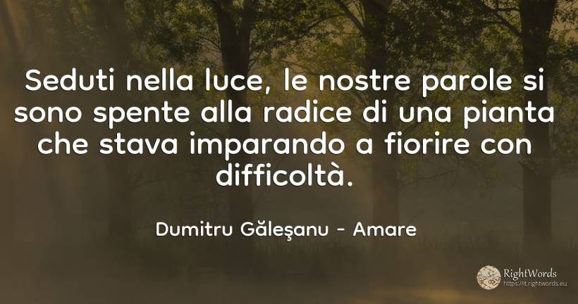 Seduti nella luce - le nostre parole svanivano alla... - Dumitru Găleşanu, citazione su amare