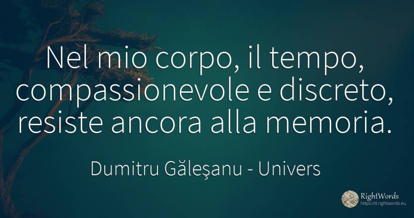 Nel mio corpo, il tempo, compassionevole e discreto, ... - Dumitru Găleşanu, citazione su univers