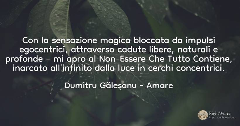 Con il sentimento magico trattenuto dalle pulsioni... - Dumitru Găleşanu, citazione su amare