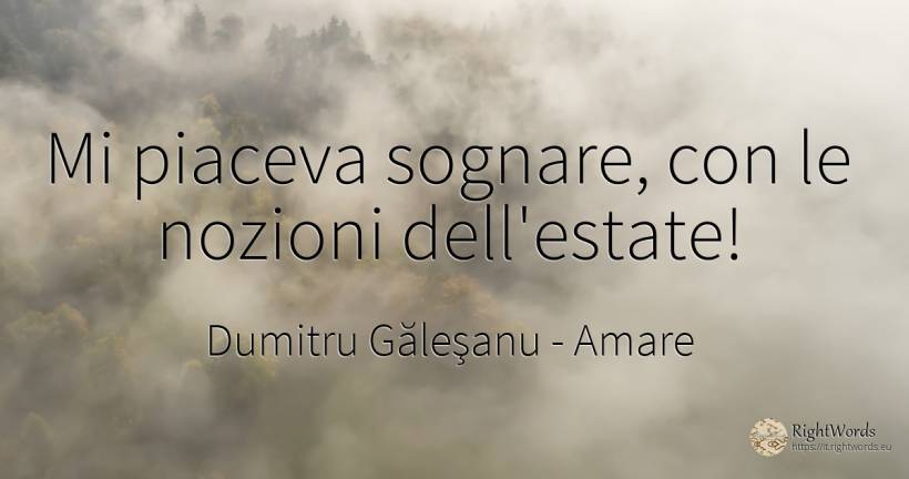 Mi piaceva sognare, con le nozioni dell'estate! - Dumitru Găleşanu, citazione su amare