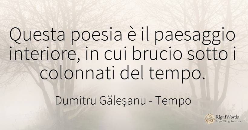 Questa poesia è il paesaggio interiore, in cui brucio... - Dumitru Găleşanu, citazione su tempo