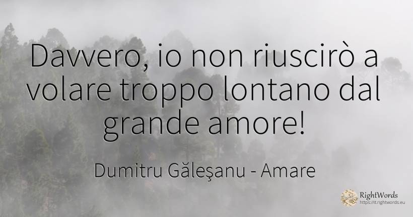 Davvero, io non riuscirò a volare troppo lontano dal... - Dumitru Găleşanu, citazione su amare