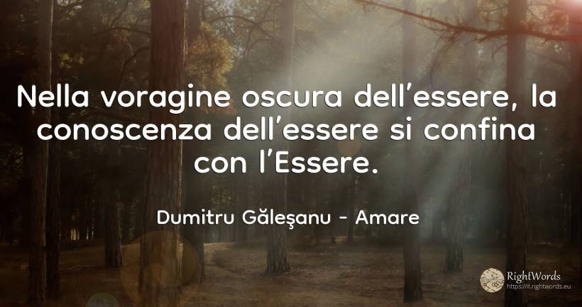 Nella voragine oscura dell’essere, la conoscenza... - Dumitru Găleşanu, citazione su amare