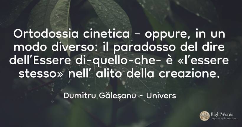 Ortodossia cinetica – oppure, in un modo diverso: il... - Dumitru Găleşanu, citazione su univers