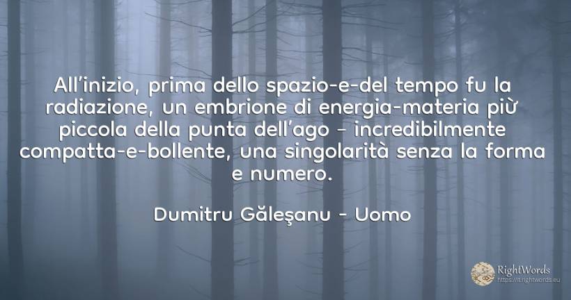 All’inizio, prima dello spazio-e-del tempo fu la... - Dumitru Găleşanu, citazione su uomo