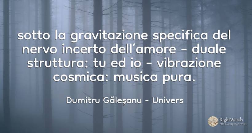 sotto la gravitazione specifica del nervo incerto... - Dumitru Găleşanu, citazione su univers