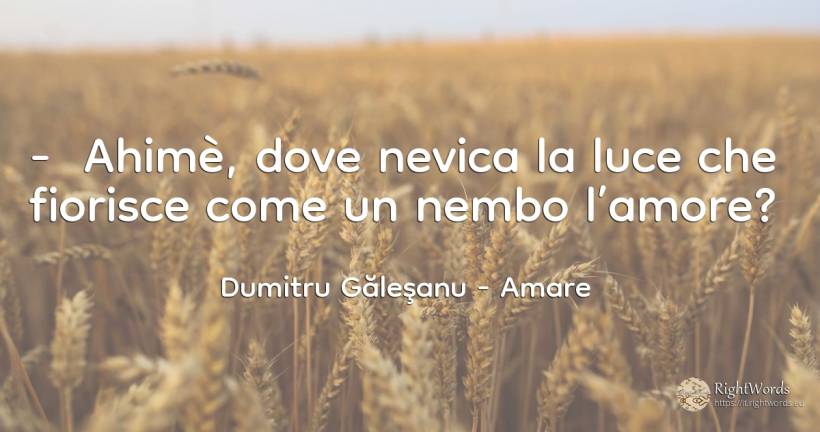 - Ahimè, dove nevica la luce che fiorisce come un nembo... - Dumitru Găleşanu, citazione su amare