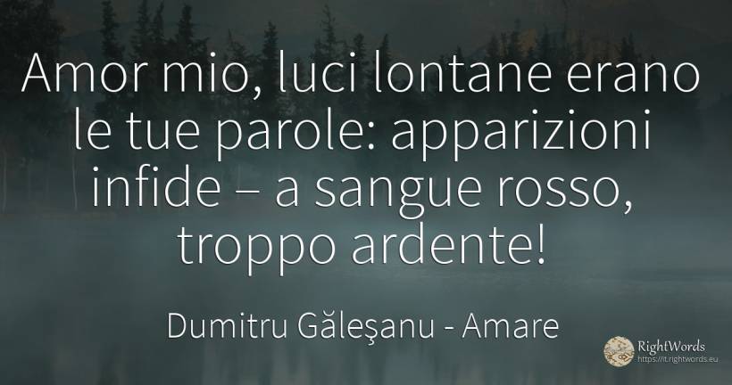 Amor mio, luci lontane erano le tue parole: apparizioni... - Dumitru Găleşanu, citazione su amare