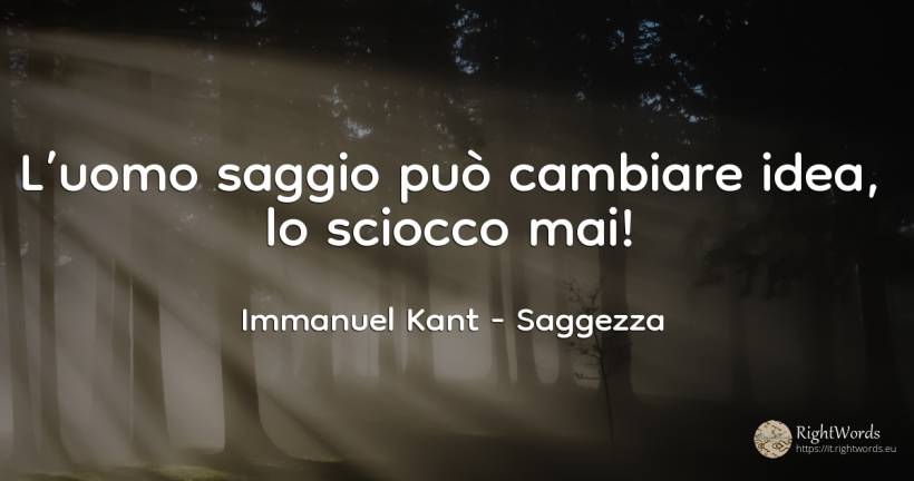 L’uomo saggio può cambiare idea, lo sciocco mai! - Immanuel Kant, citazione su saggezza