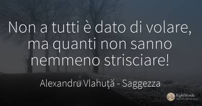 Non a tutti è dato di volare, ma quanti non sanno nemmeno...